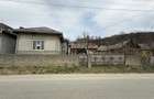 Vand Casa Pamant Padure - 1