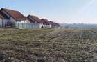 Balotesti teren la lac,intravilan-zona vile - 2