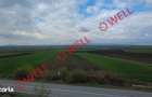 Teren intravilan de vanzare in Bicfalau! - 4