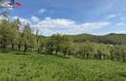 Teren intravilan 8330 mp de vanzare in Inuri Jud Alba