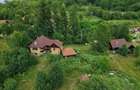 Casa Naturala in Transilvania - 9