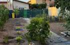 Teren 370mp + casa din caramida, toate utilitatile, zona Antiaeriana - 9