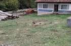 Proprietar vand casa cu teren generos