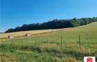 De vanzare teren intravilan 3.1 Ha, Sancraul De Mures, Mures - 1