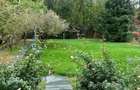 Casa langa padure, teren 1.000 mp Runcu, Dascalu, Ilfov