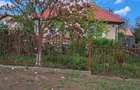 Casa cu teren 2.200 mp si anexe gospodaresti Stupini, Sanmihaiu de Campie, Bistrita-Nasaud - 6