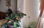 Apartament zona buna 3 camere 2 bai - 1