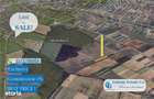 Antony Estate | Oportunitate de investitie - Teren Cihei, langa Padure - 6