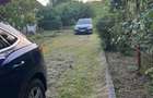 Casa tradi?ionala de vanzare in sat Raco?i, Tismana, Gorj - 10