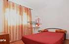 2 camere Iancului Gradina Engleza - 5