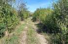 Teren intravilan Loc. Baicoi, Jud Prahova-id 17235 - 1