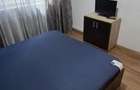 Inchiriez apartament 2 camere ultracentral - 5