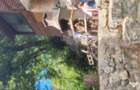Coasta de Azur -Casa de vinzare - 11