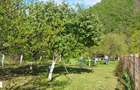 Teren intrare Herculane,E 70 Herculane-Orsova - 7