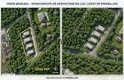 Teren intravilan 2000mp langa Padurea Baneasa - 4