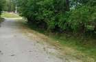 2 case de vinzare IN BOIAN 25000 eur pe casa - 1