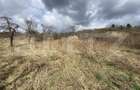 Teren intravilan in suprafata de 2000 mp, zona Episcopiei - 6