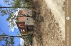 Vand casa in Loc Draut jud Arad