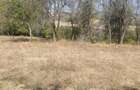 Teren de 4780 mp, în Fornădia