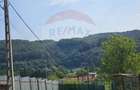 Casă cu 4 camere cu Teren 1371 Mp în Crivina - 10