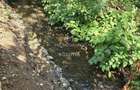 Casă de vânzare Baia Mare -zona Valea Borcutului