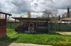 Casa cu teren generos la marginea Parcului Dendrologic - 9