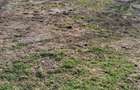 Vand teren intravilan sat Paulis comuna Soimus - 2
