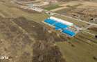 Teren extravilan de 7.000 mp langa Paltini? - 9