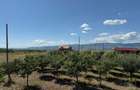 Cabana de lemn, 2 camere, teren 850 mp, livada, Oarda, Alba Iulia - 1