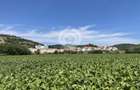Teren intravilan Medias | 13700 mp | Deschidere 242 ml la drum public - 4