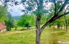 Teren Intravilan Magulicea - Zona Varfurile - Magulicea (Arad)