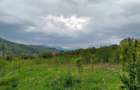 Conac boieresc si teren de vanzare, Drajna de Sus, jud. Prahova - 6