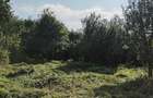 Teren de vanzare com. Aiton - 7