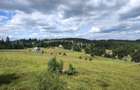 Teren intravilan in Marisel, 1000 mp, expunere sudica, investitie sigu - 5