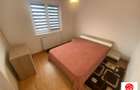 Apartament cu 3 camere de inchiriat in Dambu - 8