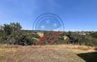 Vila cu 6camere de vanzare in Carcea/Dolj - 18