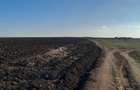 Teren Investiție 4750 mp Limanu - Parcelabil, lângă Mangalia