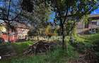 Casa de vanzare | Vitrometan - 8
