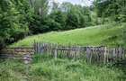 Vand Teren (Valea Doftanei) - 3