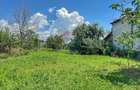 Casa batraneasca cu 3 camere-Oportunitate de Investi?ie in Domnesti - 11