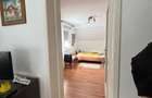 casa individuala Dumbravita Fropin - 3
