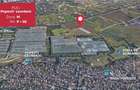 Teren intravilan 9.996 mp, Popesti-Leordeni–investitie imobiliara - 3