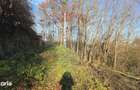 Teren 10,860mp Fratautii Noi / Strada Dealului - 11