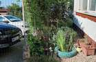De vanzare - apartament cu 3 camere ?i curte
