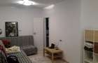 Proprietar apartament 2 camere Mosilor cu Carol - 7