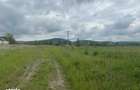 Vand teren extravilan 8.600 mp in Selimbar / jud. Sibiu - 2