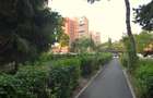 3 camere - etaj 1 - Dambu Pietros - 8