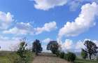 ?inca Noua 8.439 mp pentru agricultura, apicultura ?i investi?ie - 6