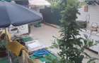 Casa de Vanzare Lugoj Timis !! - 5