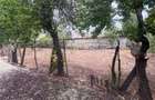 Casă cu Teren 2000 Mp în Prundu - 3